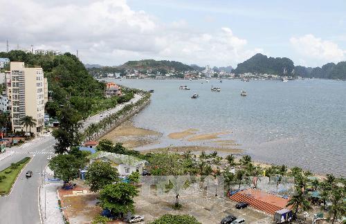 Quảng Ninh: Du lịch biển đảo báo hiệu một 'mùa gặt' thành công ảnh 1
